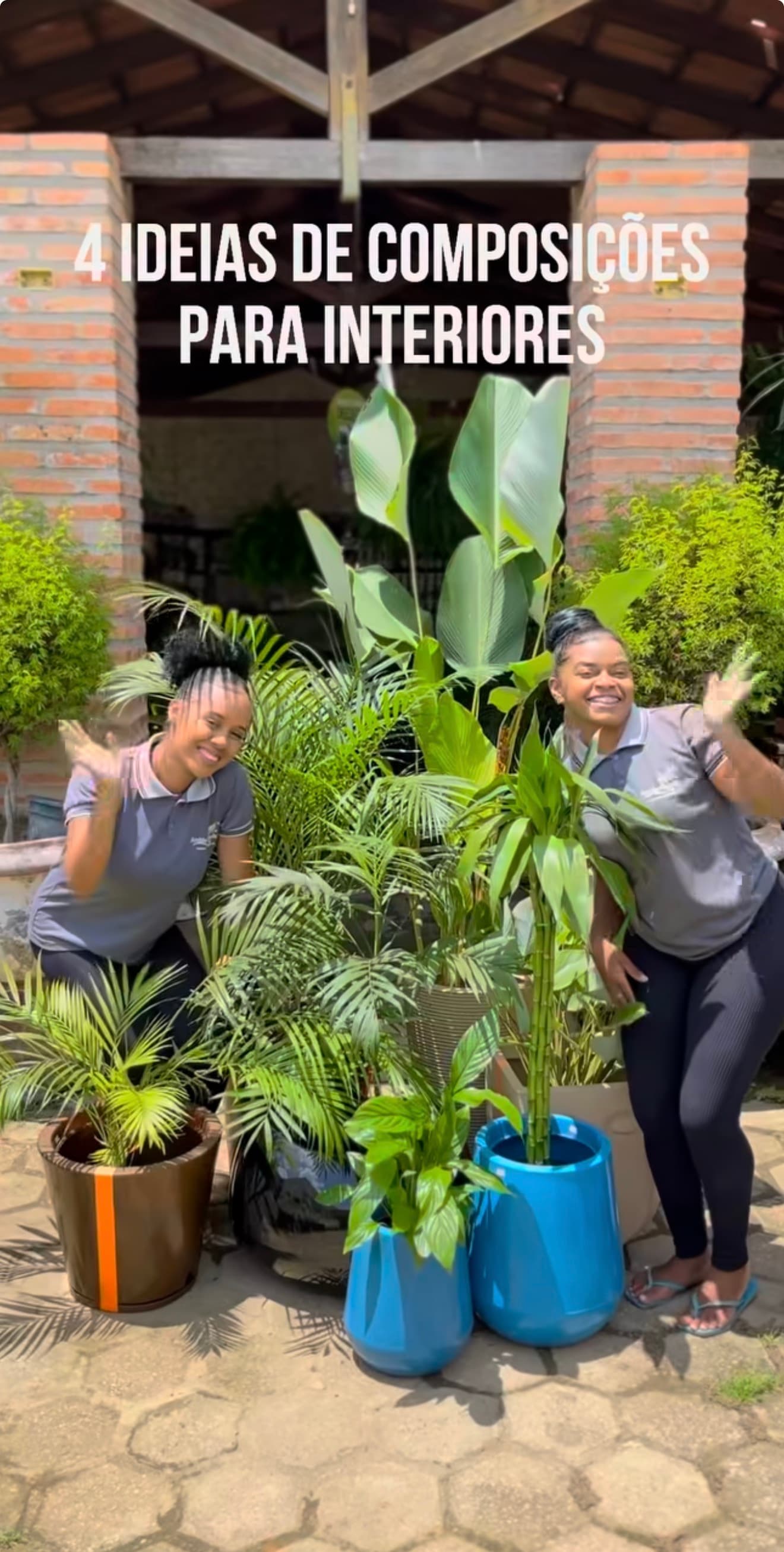 Ideias de composições com plantas para interiores