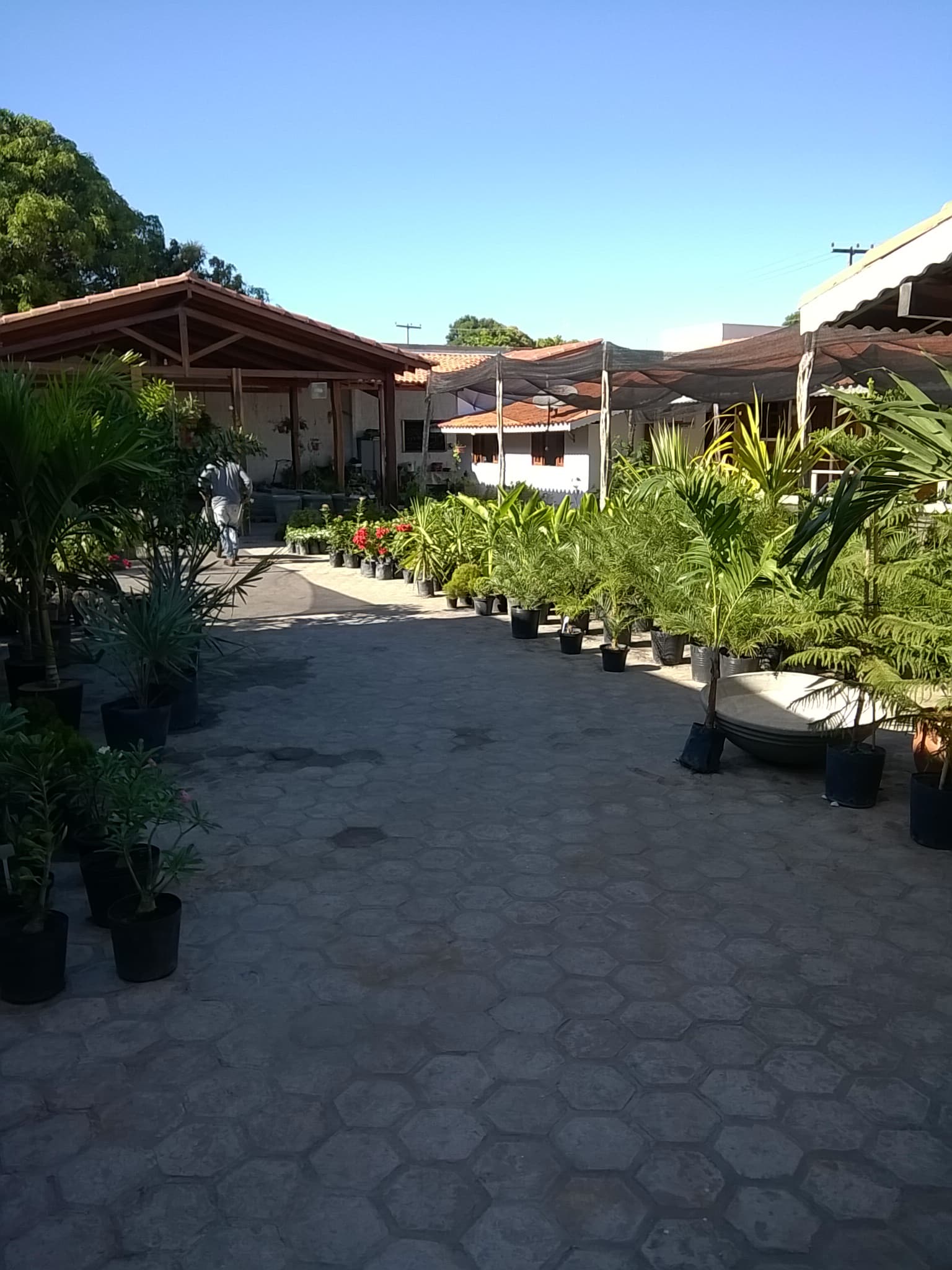 Espaço da AmbientalMix com plantas