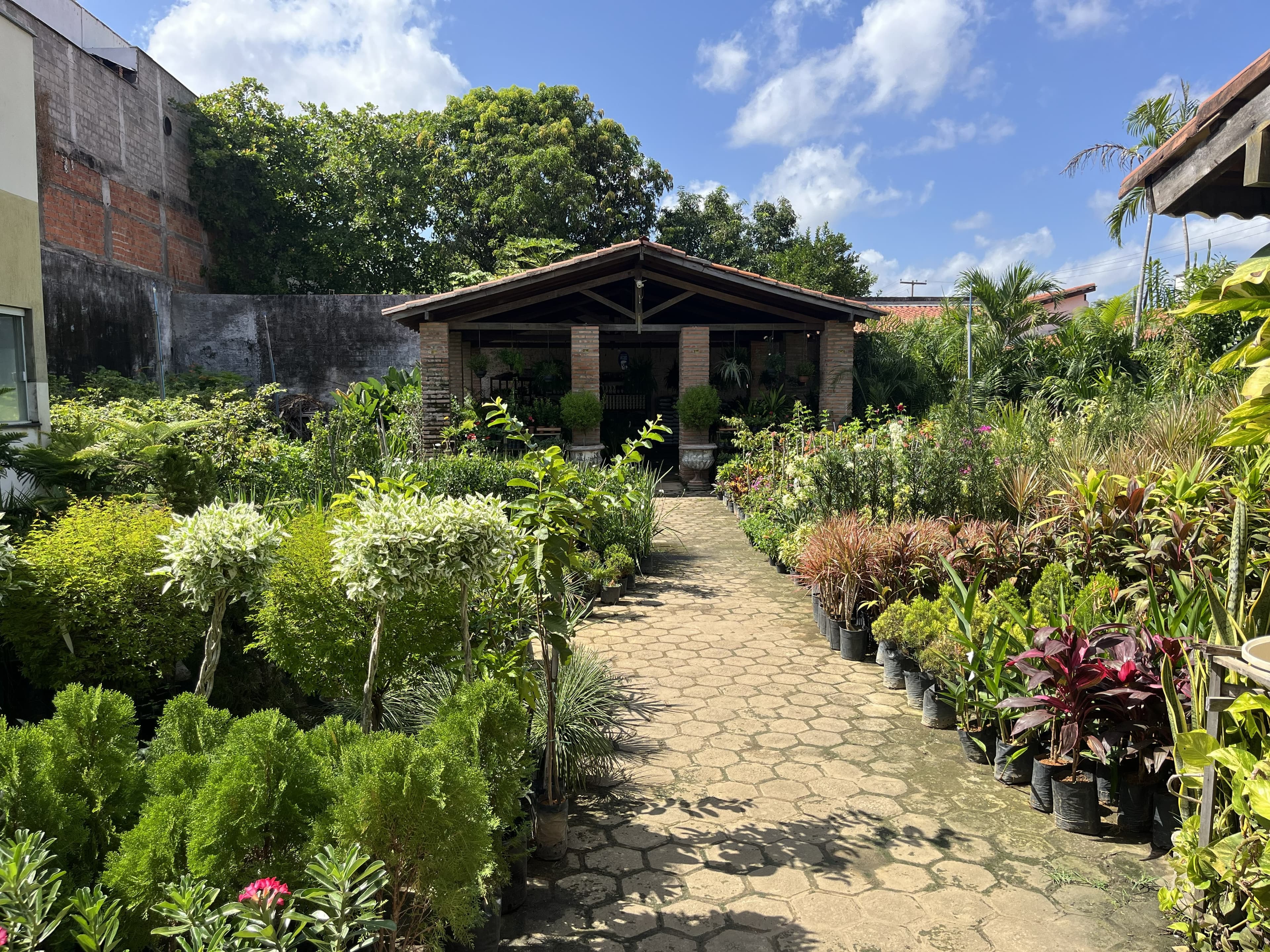 Área atual de plantas da AmbientalMix